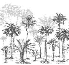 Papier peint Jungle Black & White