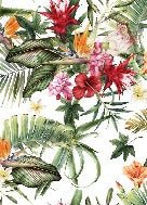 Papier peint tropical & Fleurs colorées