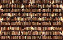 Papier peint trompe l'oeil Authentique Bibliothèque