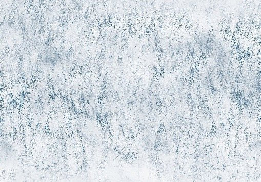 Papier peint forêt brumeuse Alpine design