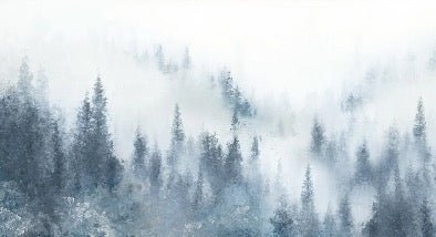 Watercolor blue fir tree wallpaper