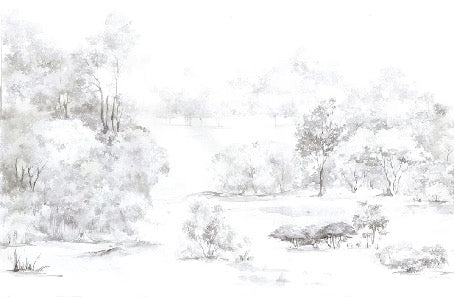 Papier peint forêt de pin aquarelle