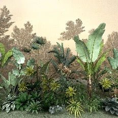 Papier peint Jungle tendance indonésia