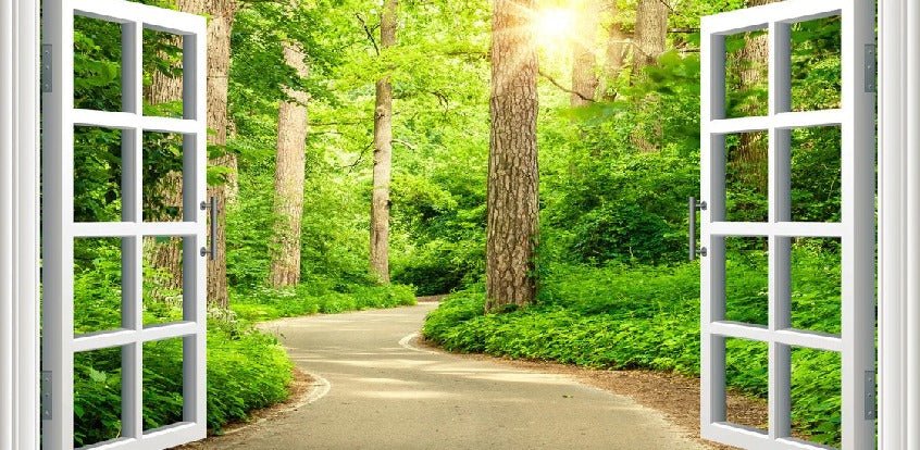 Papier peint trompe l’œil balade en forêt