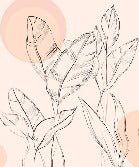 Papier peint gracieuse flore