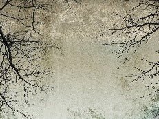 Papier peint Forêt Enchantée, XXL, tendance