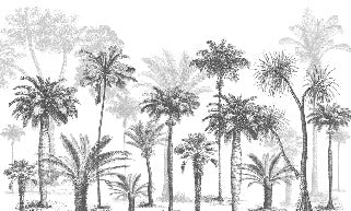 Papier peint Jungle Black & White