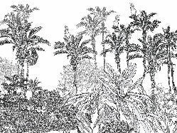 Papier peint jungle panthère