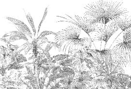Papier peint tropical gravure monochrome