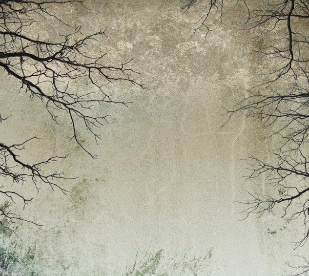 Papier peint Forêt Enchantée