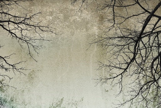 Papier peint Forêt Enchantée