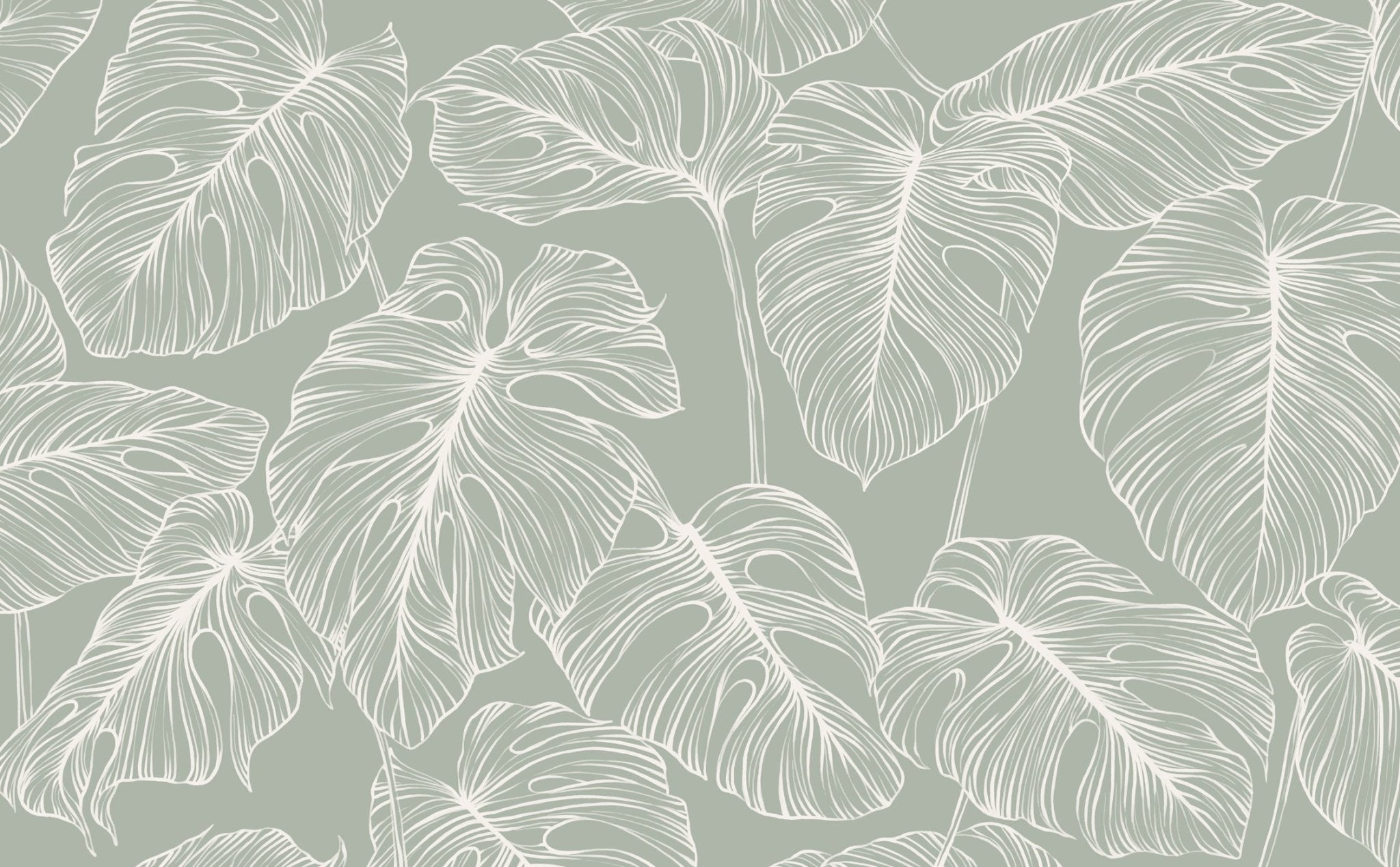 Papier peint feuille monstera sauge, XXL, tendance