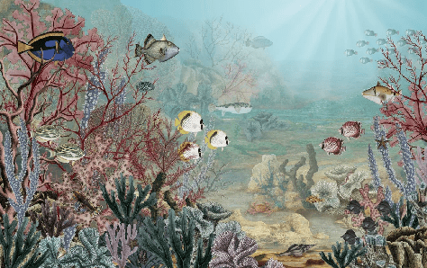 Papier peint vie sous la mer