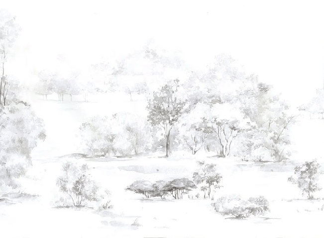 Papier peint forêt de pin aquarelle