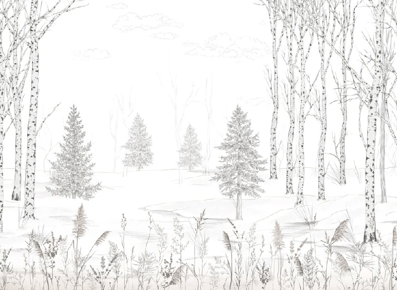 Papier peint forêt noir et blanc – Douceur des Bois