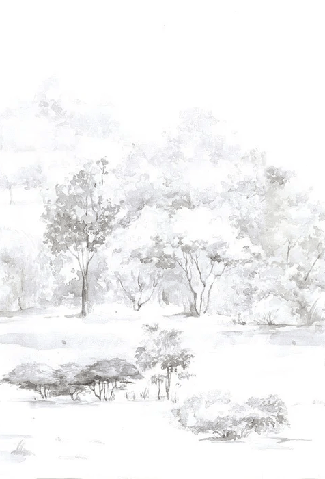 Papier peint forêt de pin aquarelle