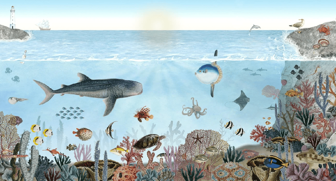 Papier peint animaux marins