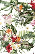 Papier peint tropical & Fleurs colorées