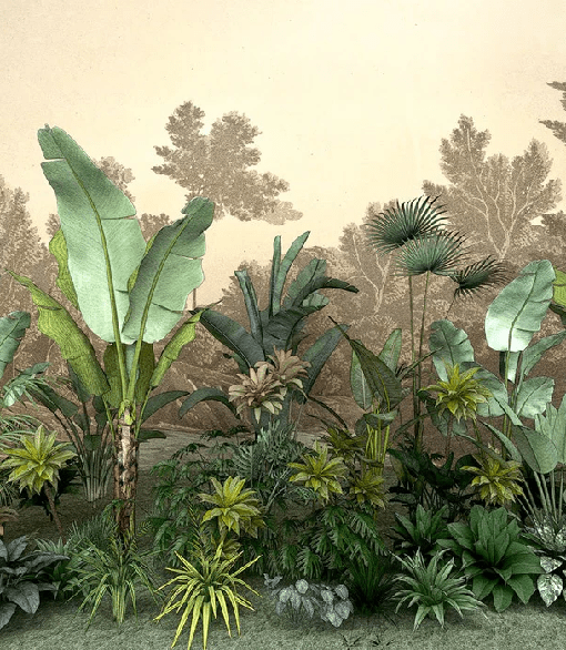 Papier peint toilette Jungle tendance indonésia