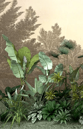 Papier peint Jungle tendance indonésia