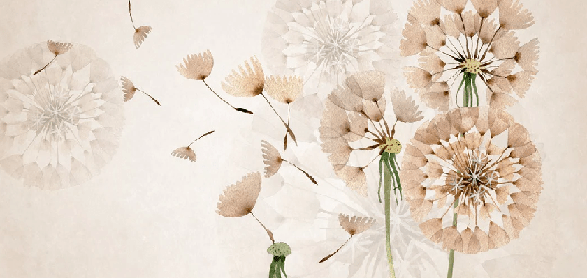 Papier peint fleur pissenlit