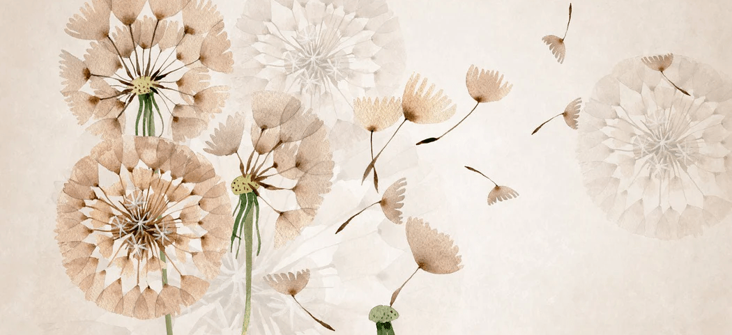 Papier peint fleur pissenlit