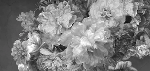 Papier peint fleur pivoine noir et blanc