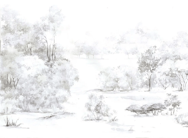 Papier peint forêt de pin aquarelle