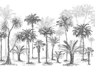 Papier peint Jungle Black & White