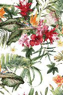Papier peint tropical & Fleurs colorées