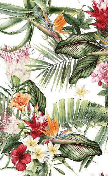 Papier peint tropical & Fleurs colorées