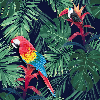 Papier peint Exotique Perroquet