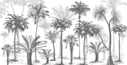 Papier peint Jungle Black & White