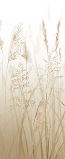 Papier peint fleur des champs de blé