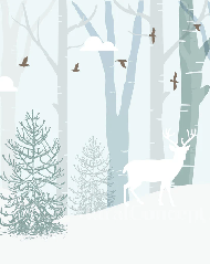 Papier peint chambre enfant Laponie