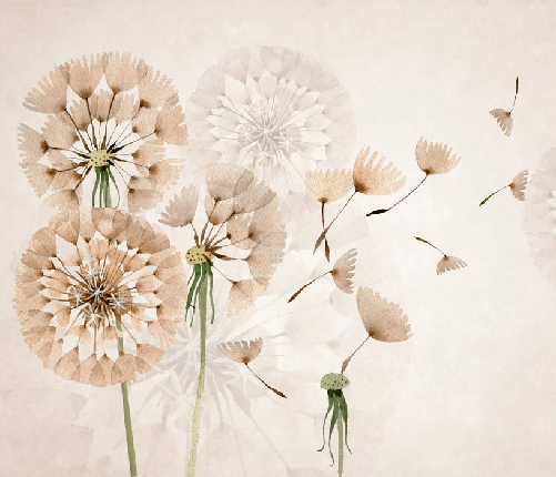 Papier peint fleur pissenlit