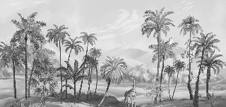 Papier peint jungle Zaphira sépia