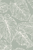 Papier peint feuille monstera sauge
