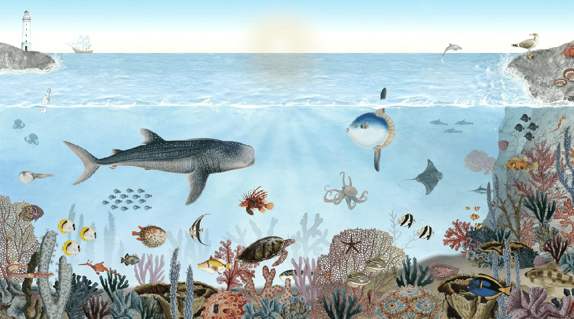 Papier peint animaux marins