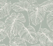 Papier peint feuille monstera sauge