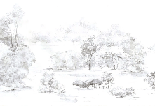 Papier peint forêt de pin aquarelle