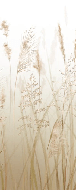 Papier peint toilette fleur des champs de blé beige