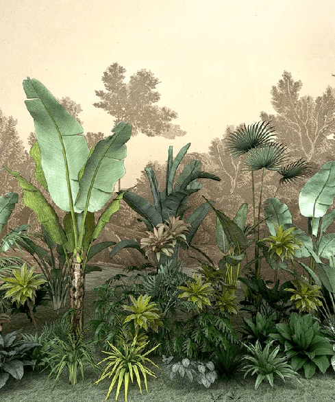 Papier peint toilette Jungle tendance indonésia