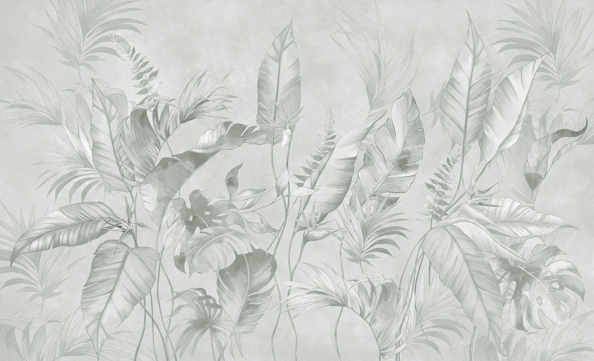 Papier peint élégante jungle sauge, XXL, tendance
