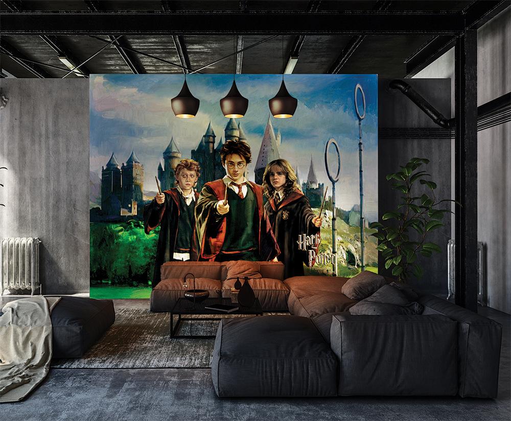 Papier peint panoramique Harry Potter - papier peint sur mesure francais - muralconcept
