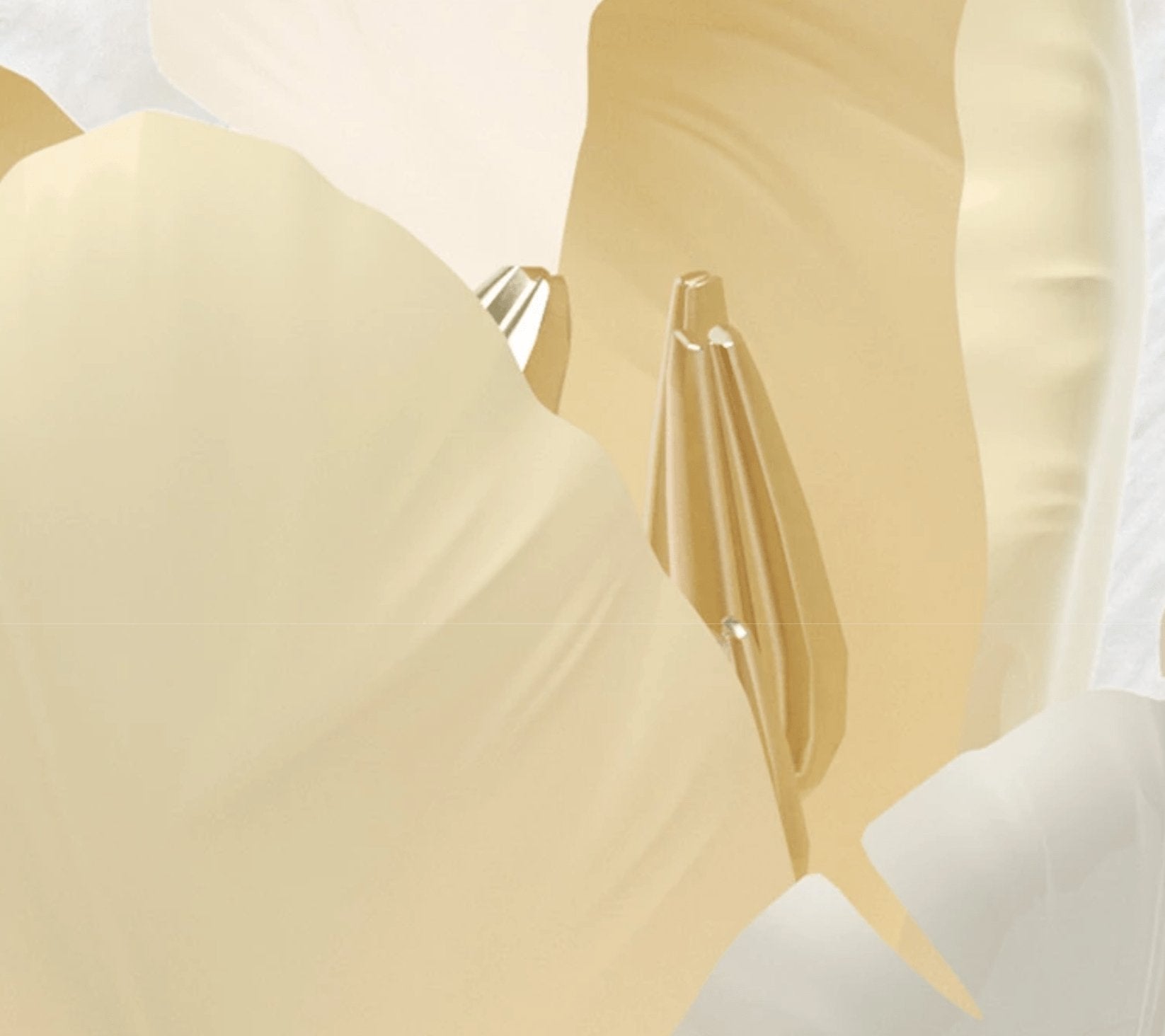 Papier peint panoramique Tulype 3D - papier peint sur mesure francais - muralconcept