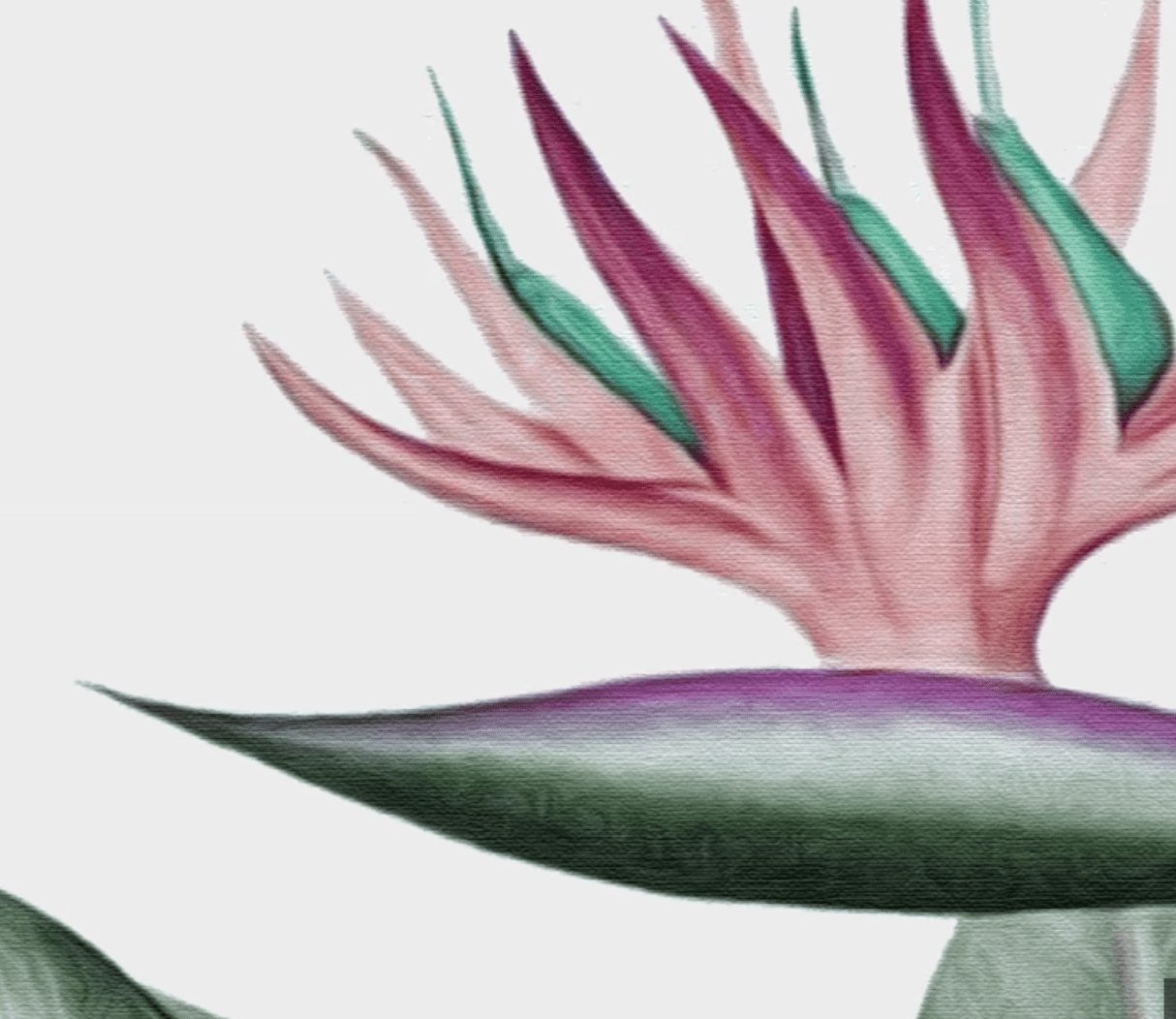 Papier peint panoramique Végétal tropical - papier peint sur mesure francais - muralconcept