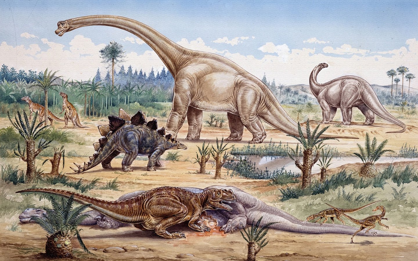 Papier peint le temps des dinosaures - Muralconceptpapier_peint_sur_mesure