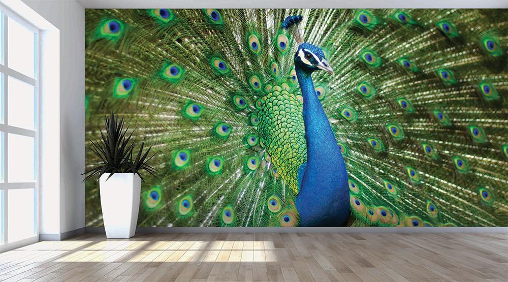 Papier peint panoramique roue du Paon - papier peint sur mesure francais - muralconcept