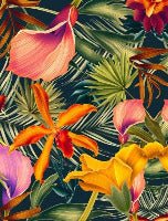 Papier peint toilette Orange Tropical